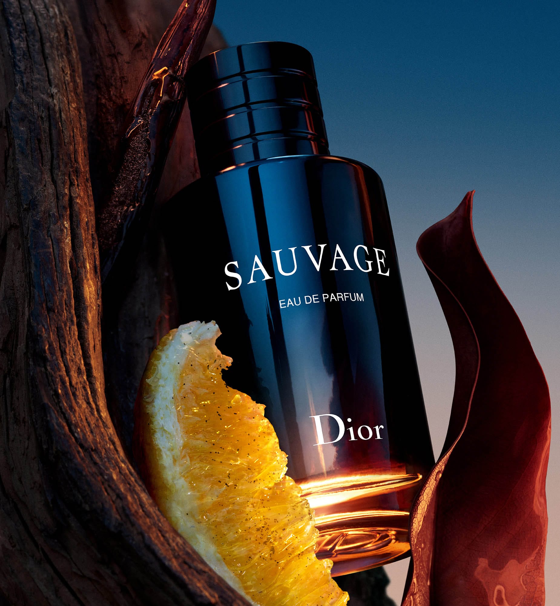 Dior Sauvage Eau de Parfum 100ml